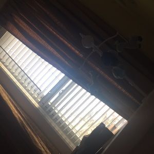 Meet your Posher, Marina